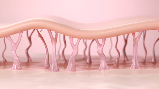 Hyaluronsäure auf Japanisch und Koreanisch | Wonder Skin