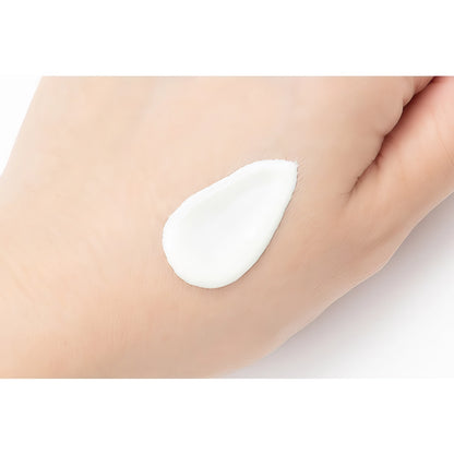 Shiseido Anessa - Perfect UV Sunscreen Skincare gel SPF50+ PA++++ - 90g-Wonder Skin